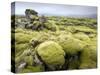 Lava Field Covered in Green Moss, South Iceland, Iceland, Polar Regions-Lee Frost-Stretched Canvas