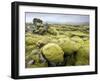 Lava Field Covered in Green Moss, South Iceland, Iceland, Polar Regions-Lee Frost-Framed Photographic Print