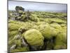 Lava Field Covered in Green Moss, South Iceland, Iceland, Polar Regions-Lee Frost-Mounted Photographic Print
