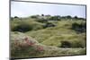 Lava Field, Moss, Iceland-Julia Wellner-Mounted Photographic Print