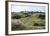 Lava Field, Moss, Iceland-Julia Wellner-Framed Photographic Print