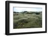 Lava Field, Moss, Iceland-Julia Wellner-Framed Photographic Print