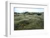 Lava Field, Moss, Iceland-Julia Wellner-Framed Photographic Print