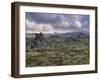 Lava Fields, Snaefellsnes Peninsula, Iceland, Polar Regions-Patrick Dieudonne-Framed Photographic Print