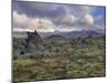 Lava Fields, Snaefellsnes Peninsula, Iceland, Polar Regions-Patrick Dieudonne-Mounted Photographic Print