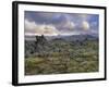 Lava Fields, Snaefellsnes Peninsula, Iceland, Polar Regions-Patrick Dieudonne-Framed Photographic Print