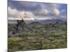 Lava Fields, Snaefellsnes Peninsula, Iceland, Polar Regions-Patrick Dieudonne-Mounted Photographic Print