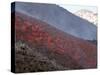 Lava Flow During Eruption of Mount Etna Volcano, Sicily, Italy-Stocktrek Images-Stretched Canvas