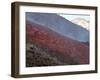 Lava Flow During Eruption of Mount Etna Volcano, Sicily, Italy-Stocktrek Images-Framed Photographic Print