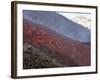 Lava Flow During Eruption of Mount Etna Volcano, Sicily, Italy-Stocktrek Images-Framed Photographic Print