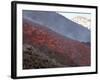 Lava Flow During Eruption of Mount Etna Volcano, Sicily, Italy-Stocktrek Images-Framed Photographic Print