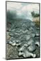 Lava Flow in Kalapana-J.D. Griggs-Mounted Photographic Print