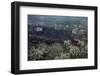 Lava Flow in Village-Vittoriano Rastelli-Framed Photographic Print