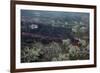 Lava Flow in Village-Vittoriano Rastelli-Framed Photographic Print