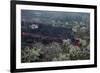 Lava Flow in Village-Vittoriano Rastelli-Framed Photographic Print