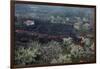 Lava Flow in Village-Vittoriano Rastelli-Framed Photographic Print