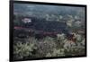 Lava Flow in Village-Vittoriano Rastelli-Framed Photographic Print