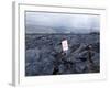 Lava Flow, Kilauea, Hawaii Volcanoes National Park, Island of Hawaii (Big Island)-Ethel Davies-Framed Photographic Print