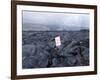 Lava Flow, Kilauea, Hawaii Volcanoes National Park, Island of Hawaii (Big Island)-Ethel Davies-Framed Photographic Print