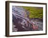 Lava Flowing from Kilauea Volcano, Hawaii Volcanoes National Park, the Big Island, Hawaii-Michael DeFreitas-Framed Photographic Print