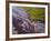 Lava Flowing from Kilauea Volcano, Hawaii Volcanoes National Park, the Big Island, Hawaii-Michael DeFreitas-Framed Photographic Print