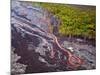 Lava Flowing from Kilauea Volcano, Hawaii Volcanoes National Park, the Big Island, Hawaii-Michael DeFreitas-Mounted Photographic Print