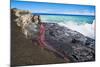 Lava Flowing Into Ocean, Hawaii-David Nunuk-Mounted Photographic Print