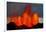 Lava Fountains at the Holuhraun Fissure Eruption Near Bardarbunga Volcano, Iceland-null-Framed Photographic Print