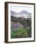 Lava from 1973 Eruption in Foreground, Island of Heimaey, Westmann Islands, Iceland, Polar Regions-Geoff Renner-Framed Photographic Print