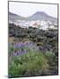 Lava from 1973 Eruption in Foreground, Island of Heimaey, Westmann Islands, Iceland, Polar Regions-Geoff Renner-Mounted Photographic Print