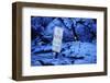 Lava from Kilauea Burying Sign-Paul Souders-Framed Photographic Print