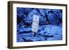 Lava from Kilauea Burying Sign-Paul Souders-Framed Photographic Print