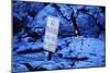 Lava from Kilauea Burying Sign-Paul Souders-Mounted Photographic Print