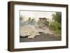 Lava from Kilauea Volcano Consumes Home-null-Framed Photographic Print