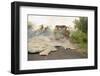 Lava from Kilauea Volcano Consumes Home-null-Framed Photographic Print