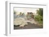 Lava from Kilauea Volcano Consumes Home-null-Framed Photographic Print