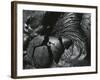 Lava, Hawaii, 1982-Brett Weston-Framed Photographic Print