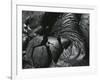 Lava, Hawaii, 1982-Brett Weston-Framed Photographic Print