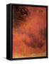 Lava Lamp II-Farrell Douglass-Framed Stretched Canvas