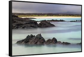 Lava rocks along tranquil shoreline of San Cristobal Island, Galapagos, Ecuador.-Adam Jones-Framed Stretched Canvas