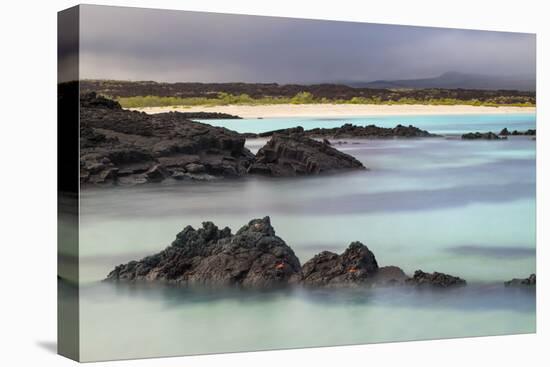 Lava rocks along tranquil shoreline of San Cristobal Island, Galapagos, Ecuador.-Adam Jones-Stretched Canvas