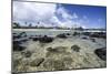 Lava Rocks of Poipu Beach Kauai Hawaii-George Oze-Mounted Photographic Print