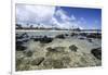 Lava Rocks of Poipu Beach Kauai Hawaii-George Oze-Framed Photographic Print