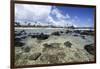 Lava Rocks of Poipu Beach Kauai Hawaii-George Oze-Framed Photographic Print