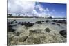 Lava Rocks of Poipu Beach Kauai Hawaii-George Oze-Stretched Canvas