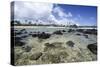 Lava Rocks of Poipu Beach Kauai Hawaii-George Oze-Stretched Canvas