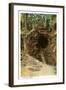 Lava Tube, Hawaii-null-Framed Art Print