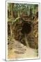 Lava Tube, Hawaii-null-Mounted Art Print