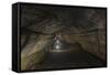 Lava Tube Santa Cruz Island, Galapagos Islands, Ecuador-Pete Oxford-Framed Stretched Canvas