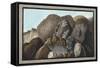 Lava-Pietro Fabris-Framed Stretched Canvas